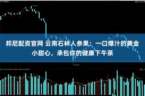 邦尼配资官网 云南石林人参果：一口爆汁的黄金小甜心，承包你的健康下午茶