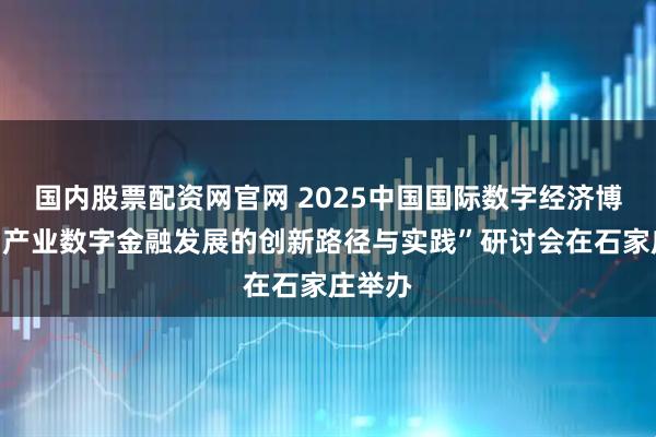 国内股票配资网官网 2025中国国际数字经济博览会“产业数字金融发展的创新路径与实践”研讨会在石家庄举办