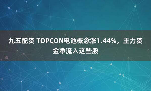 九五配资 TOPCON电池概念涨1.44%，主力资金净流入这些股