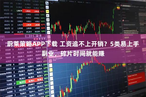 蔚莱策略APP下载 工资追不上开销？5类易上手副业，碎片时间就能赚