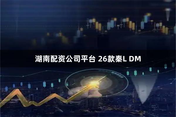 湖南配资公司平台 26款秦L DM