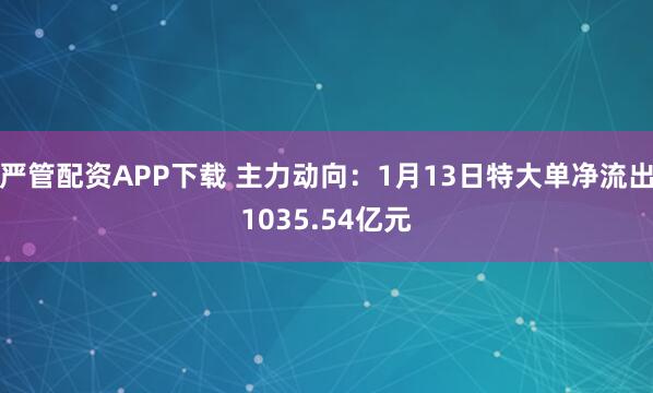 严管配资APP下载 主力动向：1月13日特大单净流出1035.54亿元