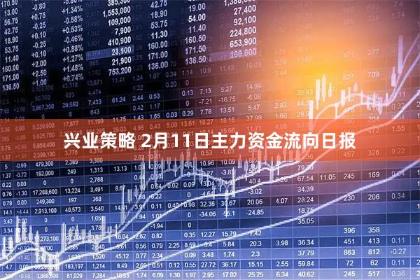 兴业策略 2月11日主力资金流向日报
