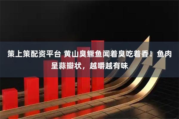 策上策配资平台 黄山臭鳜鱼闻着臭吃着香！鱼肉呈蒜瓣状，越嚼越有味